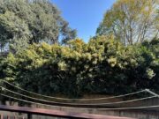 PHOTO 2026 04 13 17 35 46 (29) 1776269756 gallery 180x135